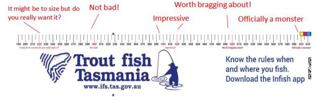 Nudging’ As a Strategy to Instigate Recreational Fishing Compliance ...